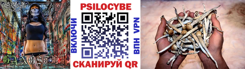 Псилоцибиновые грибы мицелий  цены   Королёв 